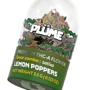 Plume 2G
